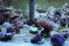 Killikus&reg; Fotographie